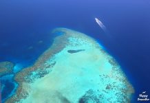 Οι Μαλδίβες από ψηλά θα σου κόψουν την ανάσα | Drone