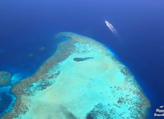 Happy Traveller: Best Of 2015-2016