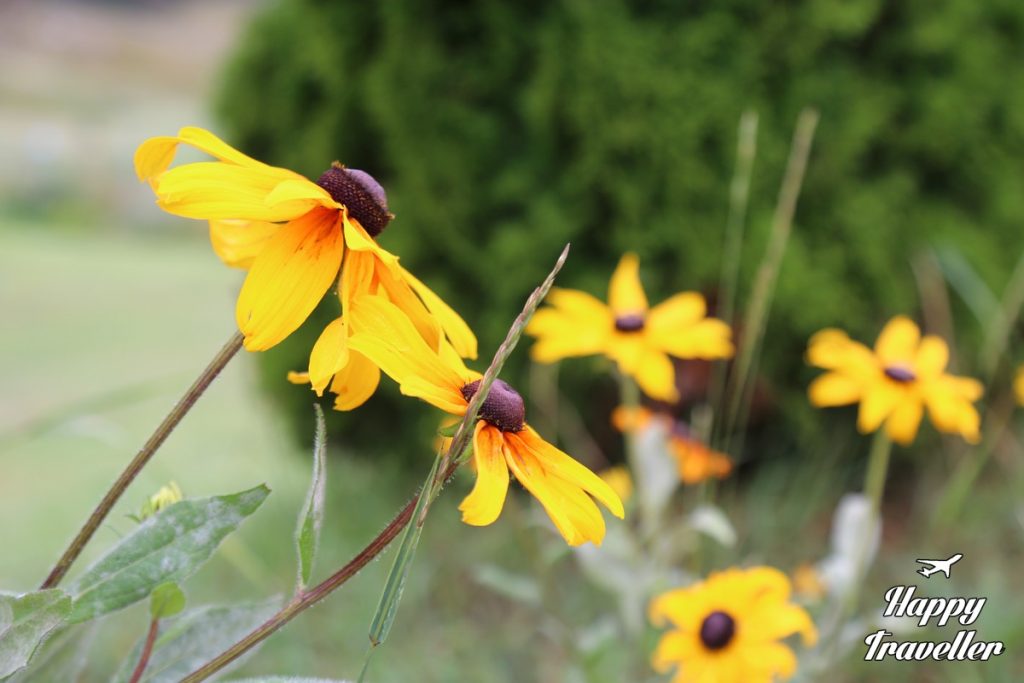 vigla pisoderiou nomos florinas happy traveller (2)