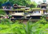 UBUD: Η πόλη που θέλεις να δεις στο Μπαλί | Ινδονησία