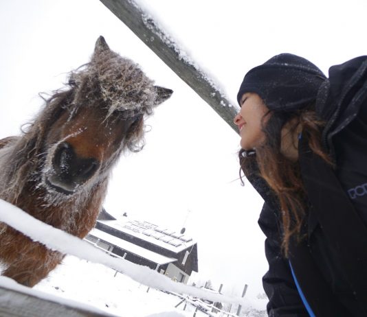 Το καλύτερο ταξίδι της ζωής μας | ΜΕ ΤΡΕΝΟ