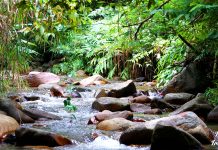 Γιατί τα Φίτζι είναι ο παράδεισος επί της Γης;