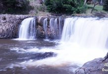 Ο καταρράκτης Haruru της Νέας Ζηλανδίας και το μυθικό τέρας