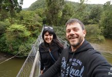 Νέα Ζηλανδία: Πλήρης ταξιδιωτικός οδηγός για τη χώρα των Χόμπιτ!