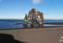 Hvítserkur: Ο εντυπωσιακός βράχος – ρινόκερος της Ισλανδίας