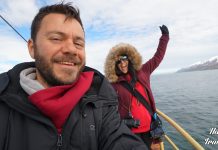 Happy Traveller στην Ισλανδία (ΜΕΡΟΣ Δ) | Ολόκληρο επεισόδιο Whale Watching - Να βλέπεις φάλαινες στην Ισλανδία, αξία ανεκτίμητη