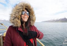 Είδαμε φάλαινες στο ισλανδικό χωριό Hauganes και ήταν καταπληκτικά