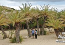 ΦΟΙΝΙΚΟΔΑΣΟΣ ΒΑΙ: Επισκεφθήκαμε την πιο διάσημη παραλία της Ανατολικής Κρήτης Χρυσή άμμος και φοινικόδεντρα στο Φοινικόδασος του Βάι στην Κρήτη