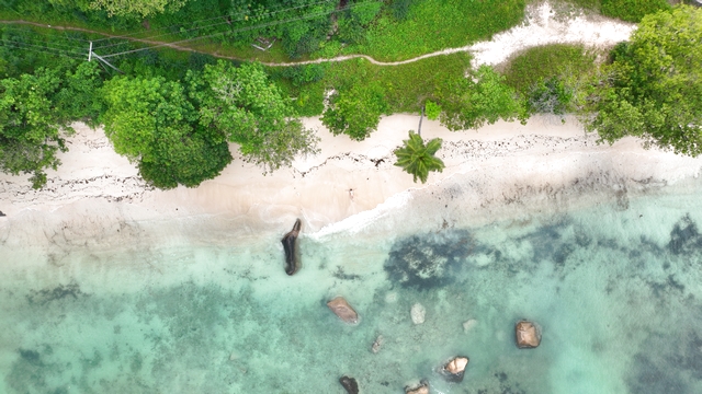 happy traveller seychelles