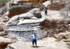 Η Ηλέκτρα και ο Ευτύχης μπροστά από τον εμβληματικό Λέοντα της Ιουλίδας στην Κέα, χαμογελαστοί και γεμάτοι ενέργεια.