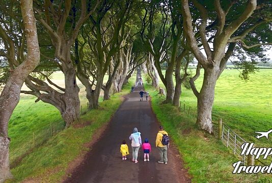 Ο δρόμος Dark Hedges στη Βόρεια Ιρλανδία, με ψηλές οξιές που σχηματίζουν φυσικό θόλο πάνω από το μονοπάτι, κάτω από έναν συννεφιασμένο ουρανό.
