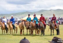Τι θα δούμε στο νέο επεισόδιο του Happy Traveller στη Μογγολία (Μέρος 2)
