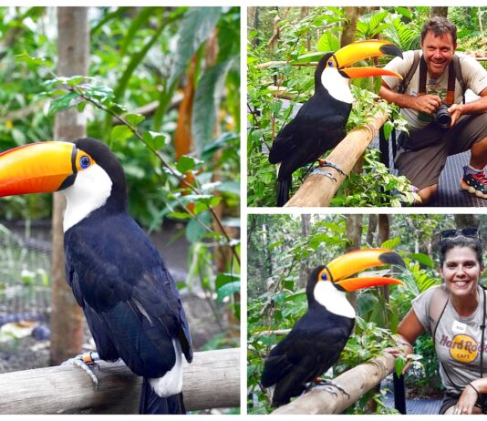 Ο Ευτύχης και η Ηλέκτρα στο Πάρκο των Πουλιών στην Βραζιλία