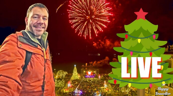 HT LIVE ΧΡΙΣΤΟΥΓΕΝΝΑ ΣΤΗ ΘΕΣΣΑΛΟΝΙΚΗ - ΑΝΑΜΜΑ ΔΕΝΤΡΟΥ 2025