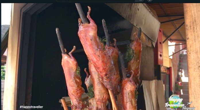 Ινδικό χοιρίδιο