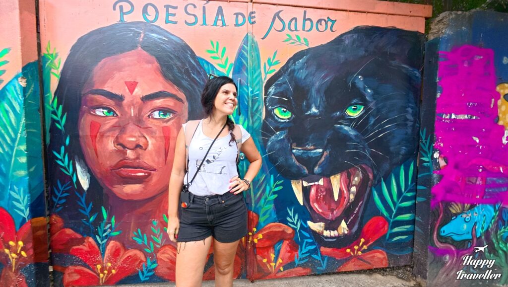 Η Ηλέκτρα στα γκράφιτι του Βαλπαραΐσο. 