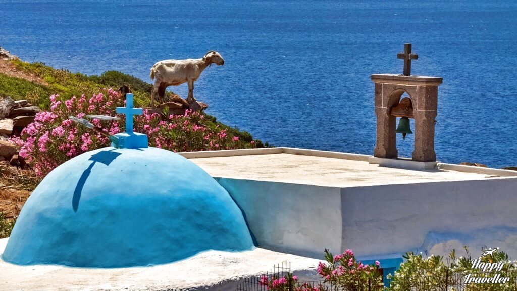 Η βλάστηση στους Αρκιους χαρακτηρίζεται από χαμηλού ύψους θάμνους, με κυρίαρχα είδη το σκίνο, την αγριελιά, τη φοινικική άρκευθος και χαρουπιές. 