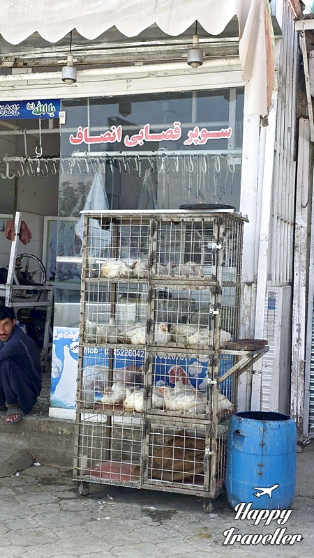 Τα πουλιά στα κλουβιά στην Kabul Bird Market
